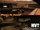 MVDM 12